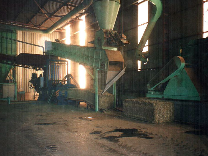 Alfalfa Deshidratada