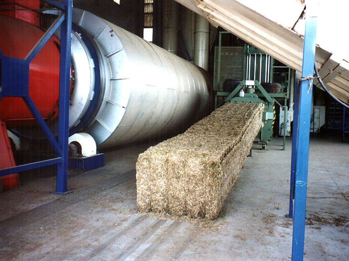 Alfalfa Deshidratada