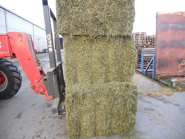 Alfalfa Deshidratada