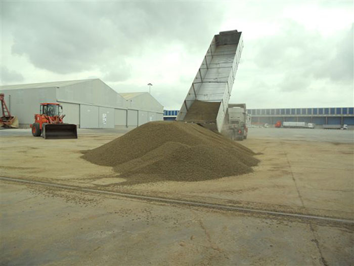 Alfalfa Deshidratada