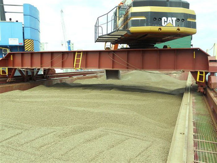 Alfalfa Deshidratada