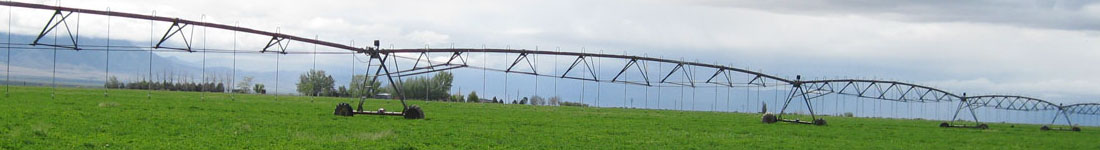 Certificados de calidad